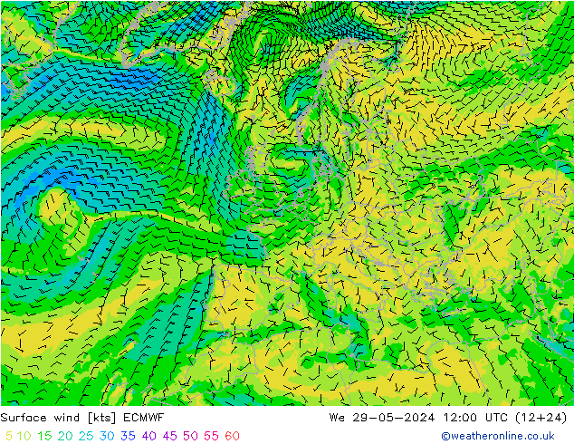 风 10 米 ECMWF 星期三 29.05.2024 12 UTC