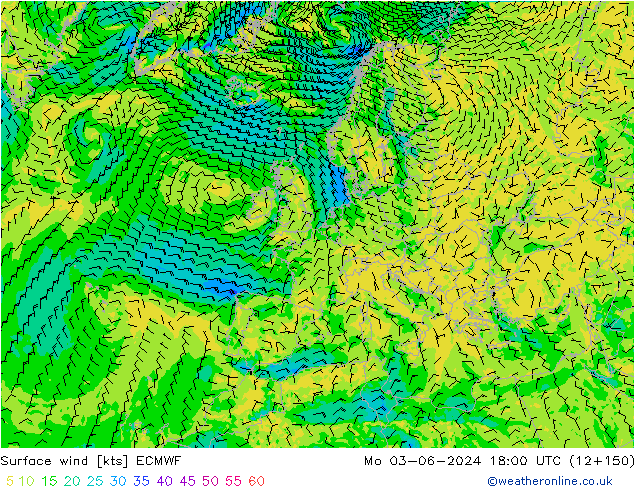 Rüzgar 10 m ECMWF Pzt 03.06.2024 18 UTC