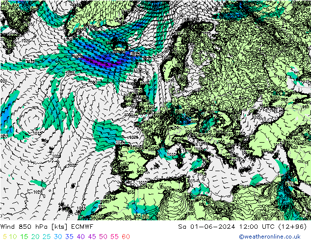 ветер 850 гПа ECMWF сб 01.06.2024 12 UTC