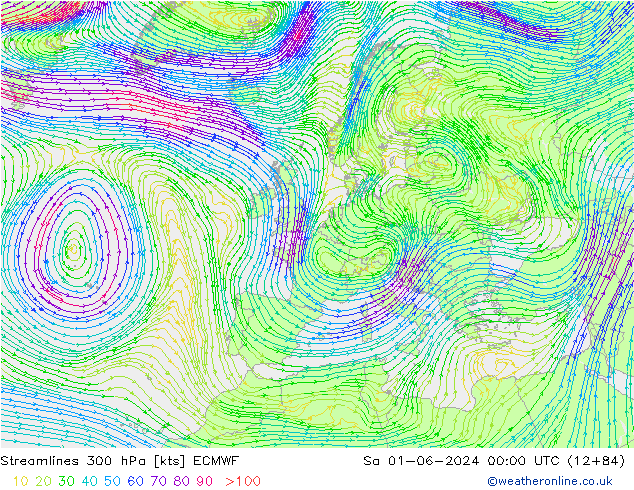 Streamlines 300 hPa ECMWF Sa 01.06.2024 00 UTC