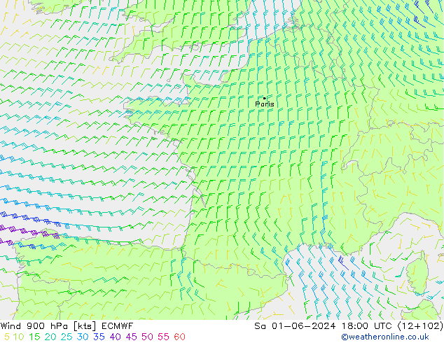  900 hPa ECMWF  01.06.2024 18 UTC