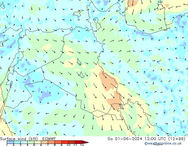 wiatr 10 m (bft) ECMWF so. 01.06.2024 12 UTC