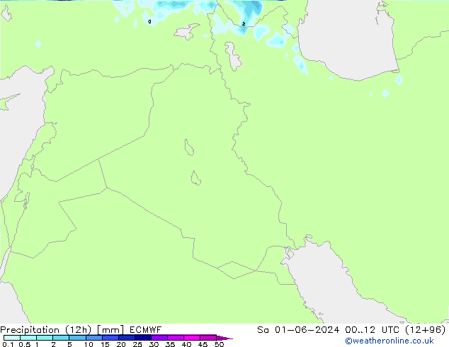 Precipitation (12h) ECMWF Sa 01.06.2024 12 UTC