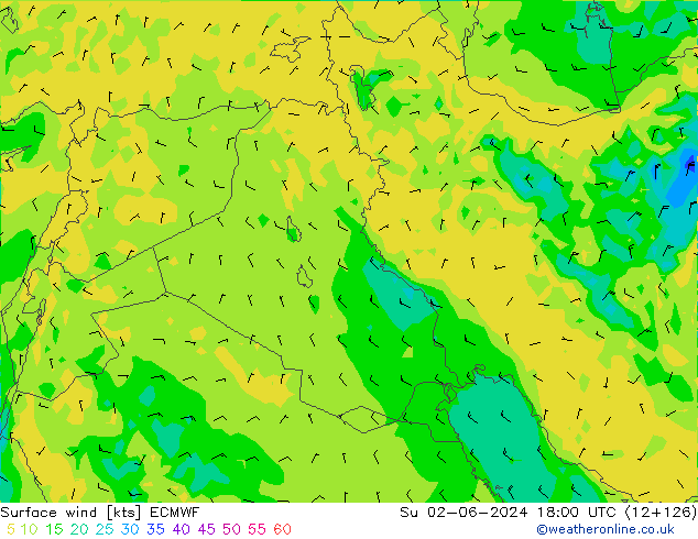 Surface wind ECMWF Su 02.06.2024 18 UTC