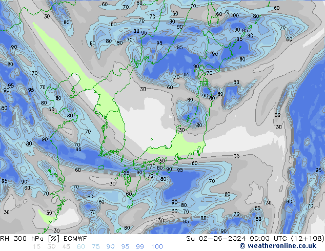 RH 300 гПа ECMWF Вс 02.06.2024 00 UTC