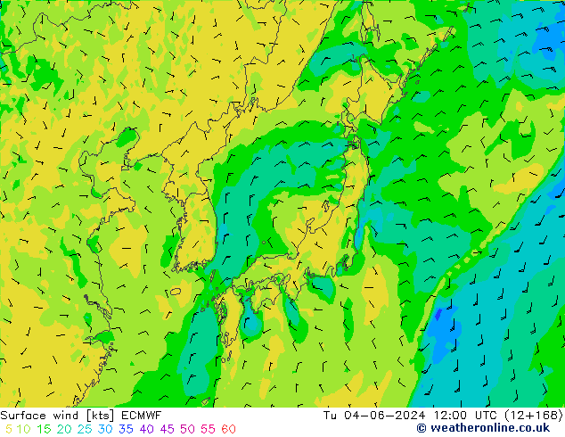 ветер 10 m ECMWF вт 04.06.2024 12 UTC