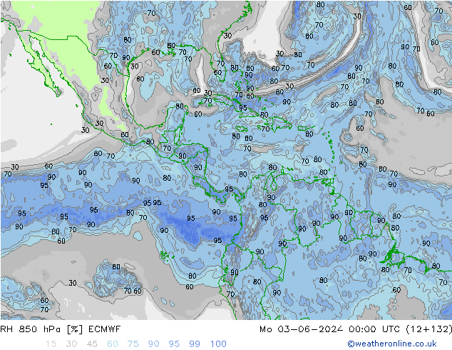 RH 850 гПа ECMWF пн 03.06.2024 00 UTC