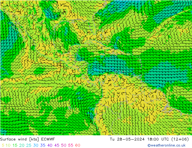 ветер 10 m ECMWF вт 28.05.2024 18 UTC