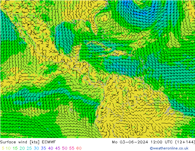  10 m ECMWF  03.06.2024 12 UTC