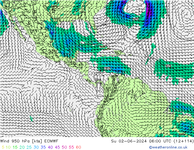 Wind 950 hPa ECMWF Ne 02.06.2024 06 UTC