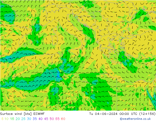 Surface wind ECMWF Tu 04.06.2024 00 UTC