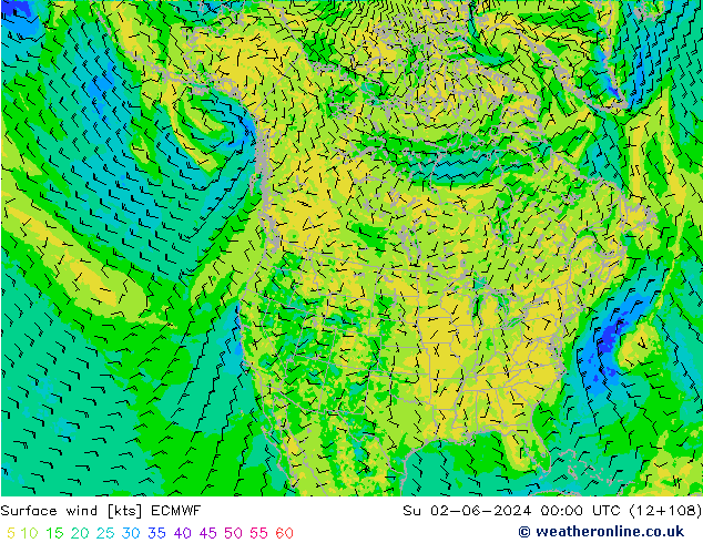 Surface wind ECMWF Su 02.06.2024 00 UTC