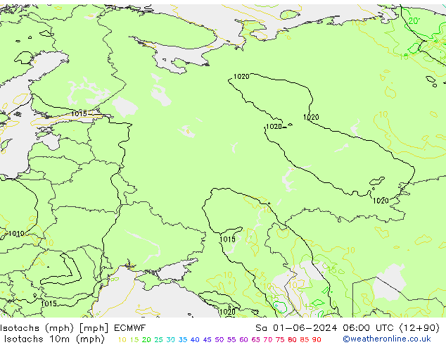 Isotachs (mph) ECMWF sam 01.06.2024 06 UTC