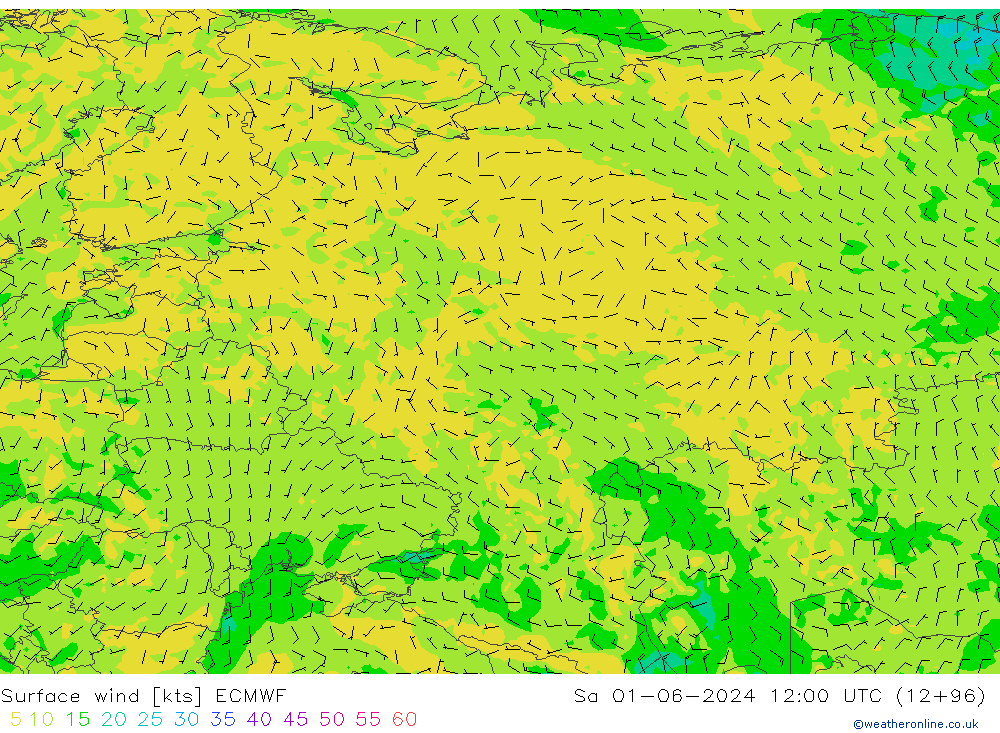 Prec 6h/Wind 10m/950 ECMWF So 01.06.2024 12 UTC