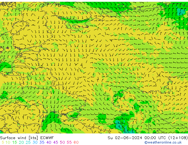 Wind 10 m ECMWF zo 02.06.2024 00 UTC