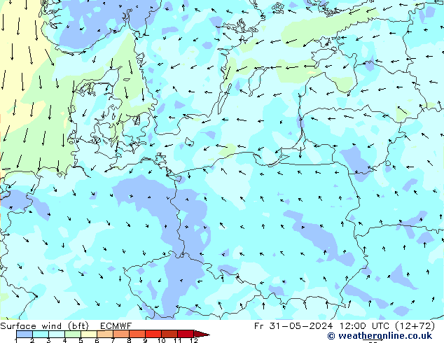 Vento 10 m (bft) ECMWF ven 31.05.2024 12 UTC