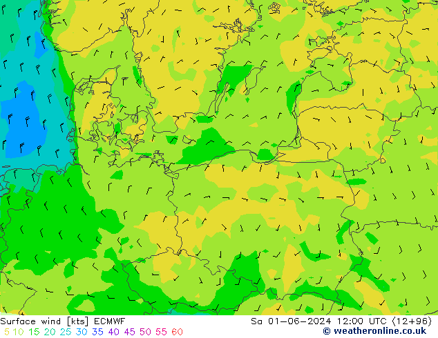  10 m ECMWF  01.06.2024 12 UTC