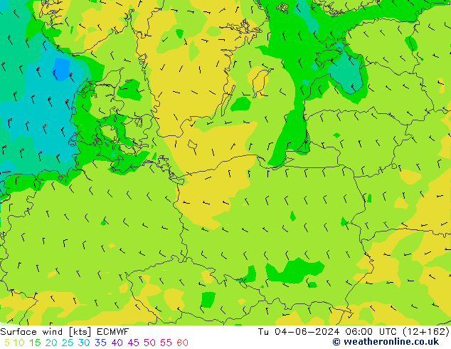 Surface wind ECMWF Út 04.06.2024 06 UTC