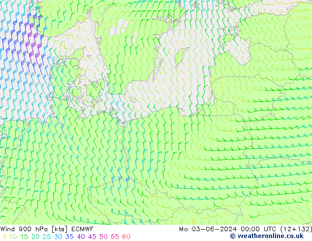 Wind 900 hPa ECMWF ma 03.06.2024 00 UTC