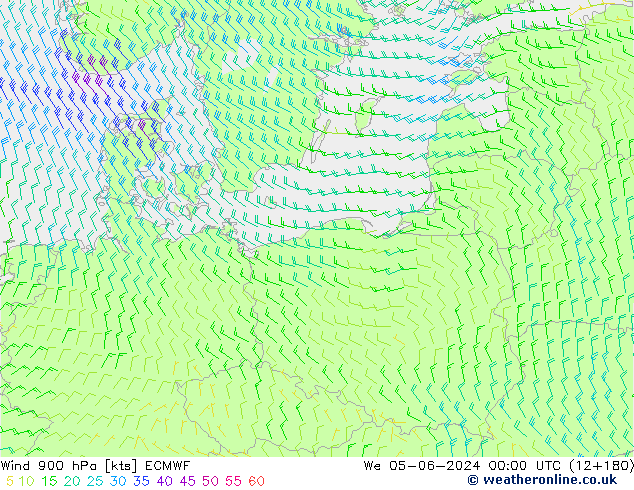 ветер 900 гПа ECMWF ср 05.06.2024 00 UTC