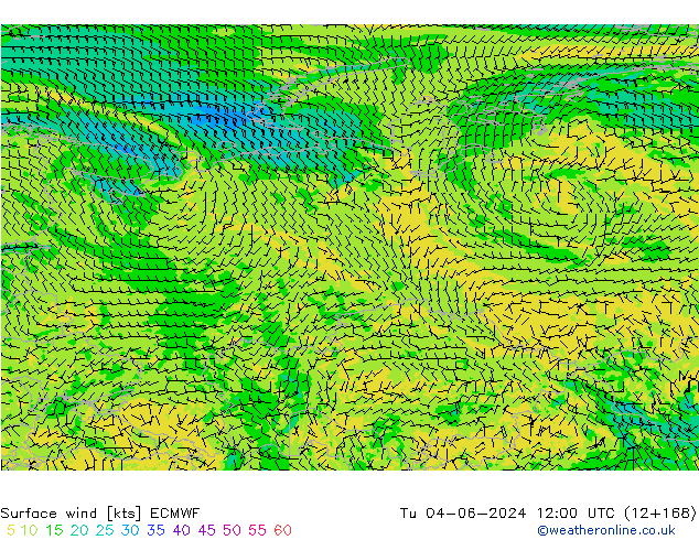  10 m ECMWF  04.06.2024 12 UTC