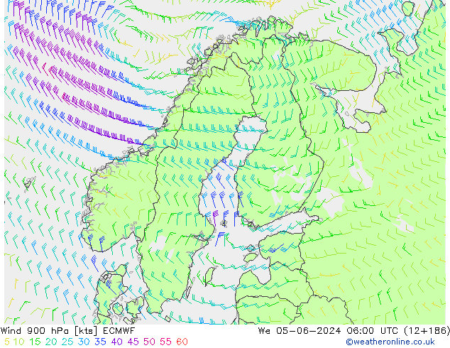 Wind 900 hPa ECMWF St 05.06.2024 06 UTC