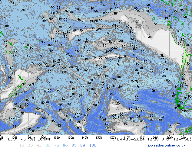 RH 850 hPa ECMWF Ter 04.06.2024 12 UTC