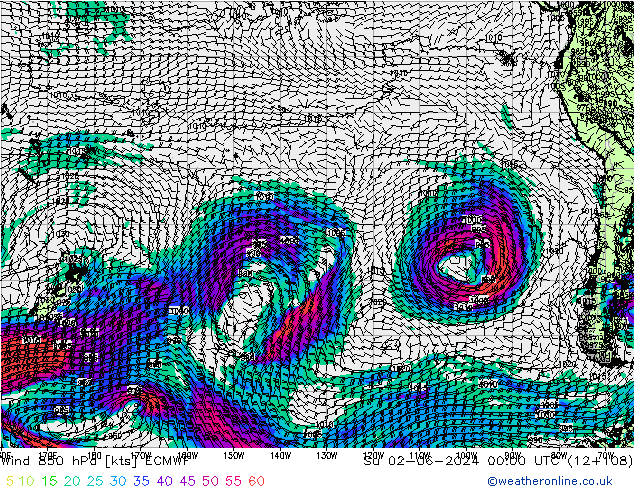 Wind 850 hPa ECMWF Ne 02.06.2024 00 UTC