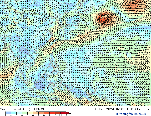 Surface wind (bft) ECMWF Sa 01.06.2024 06 UTC