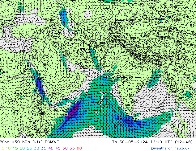 ветер 950 гПа ECMWF чт 30.05.2024 12 UTC