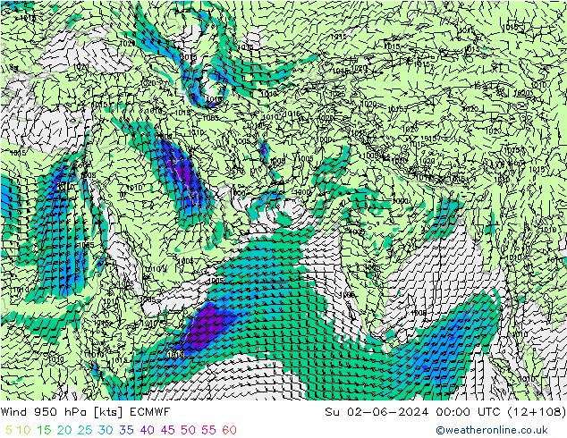 wiatr 950 hPa ECMWF nie. 02.06.2024 00 UTC