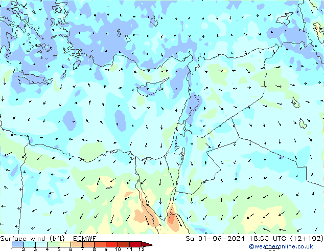 wiatr 10 m (bft) ECMWF so. 01.06.2024 18 UTC