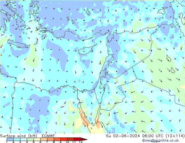 Vento 10 m (bft) ECMWF Dom 02.06.2024 06 UTC