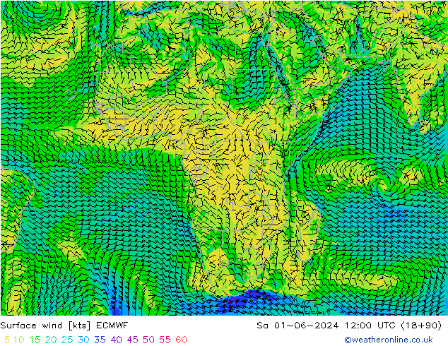 Rüzgar 10 m ECMWF Cts 01.06.2024 12 UTC