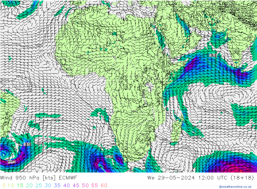 Wind 950 hPa ECMWF St 29.05.2024 12 UTC