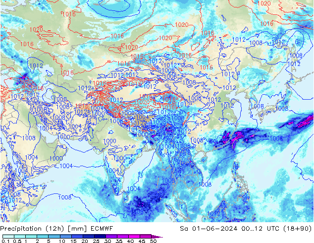 Yağış (12h) ECMWF Cts 01.06.2024 12 UTC