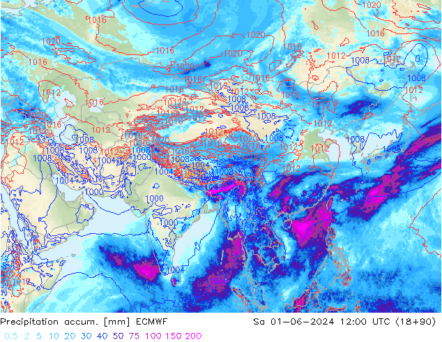 Precipitation accum. ECMWF Sáb 01.06.2024 12 UTC