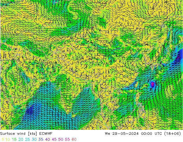 Prec 6h/Wind 10m/950 ECMWF Qua 29.05.2024 00 UTC