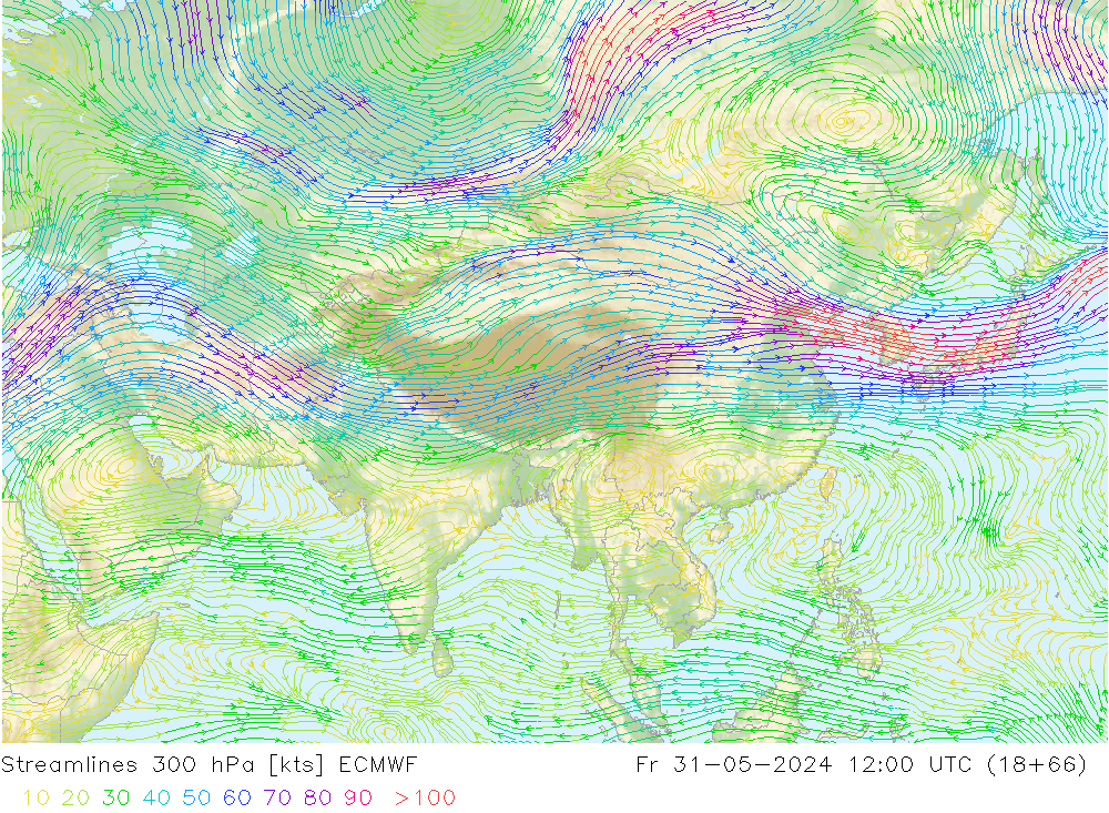 Streamlines 300 hPa ECMWF Fr 31.05.2024 12 UTC