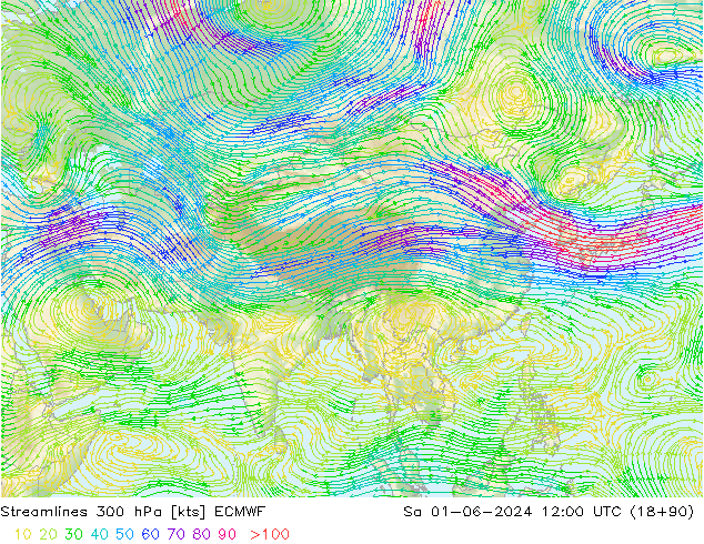Linha de corrente 300 hPa ECMWF Sáb 01.06.2024 12 UTC