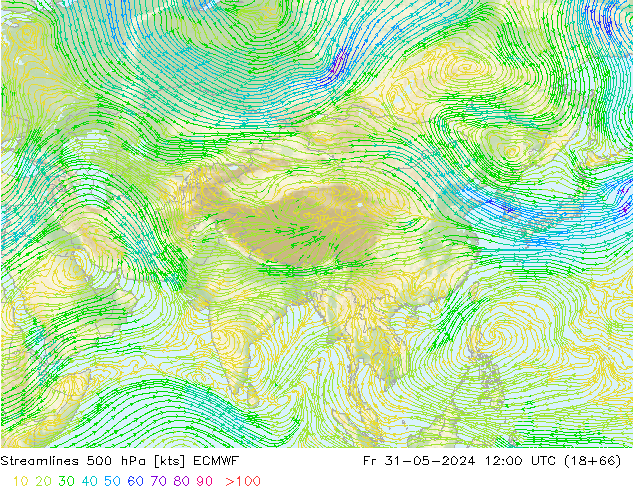 Streamlines 500 hPa ECMWF Fr 31.05.2024 12 UTC