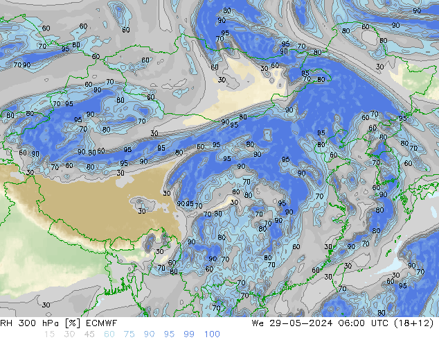 RH 300 hPa ECMWF śro. 29.05.2024 06 UTC