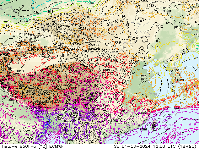 Theta-e 850hPa ECMWF Sa 01.06.2024 12 UTC