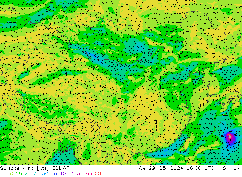 风 10 米 ECMWF 星期三 29.05.2024 06 UTC
