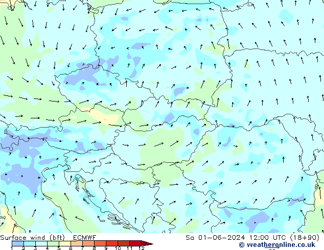 Vento 10 m (bft) ECMWF sab 01.06.2024 12 UTC