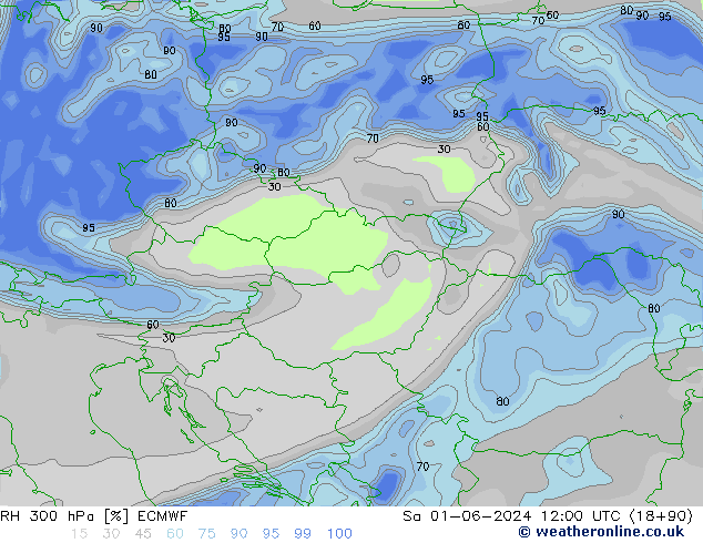 RH 300 hPa ECMWF  01.06.2024 12 UTC