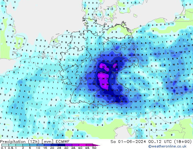 Precipitazione (12h) ECMWF sab 01.06.2024 12 UTC