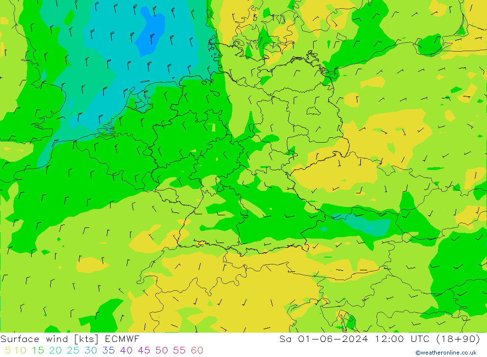 Surface wind ECMWF So 01.06.2024 12 UTC