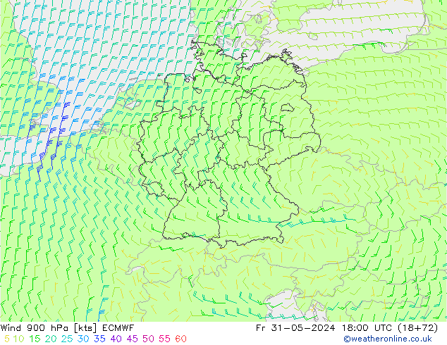  900 hPa ECMWF  31.05.2024 18 UTC