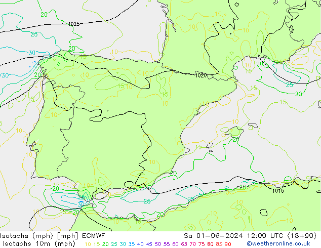 Izotacha (mph) ECMWF so. 01.06.2024 12 UTC